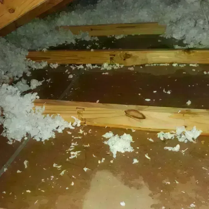 Attic Water Damage in Jones County, TX