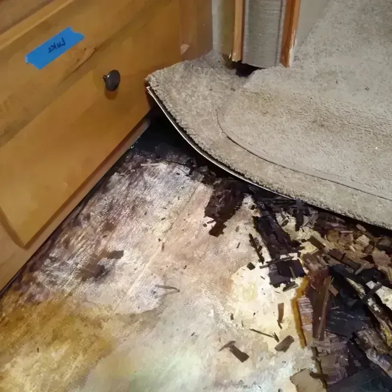 Wood Floor Water Damage in Jones County, TX